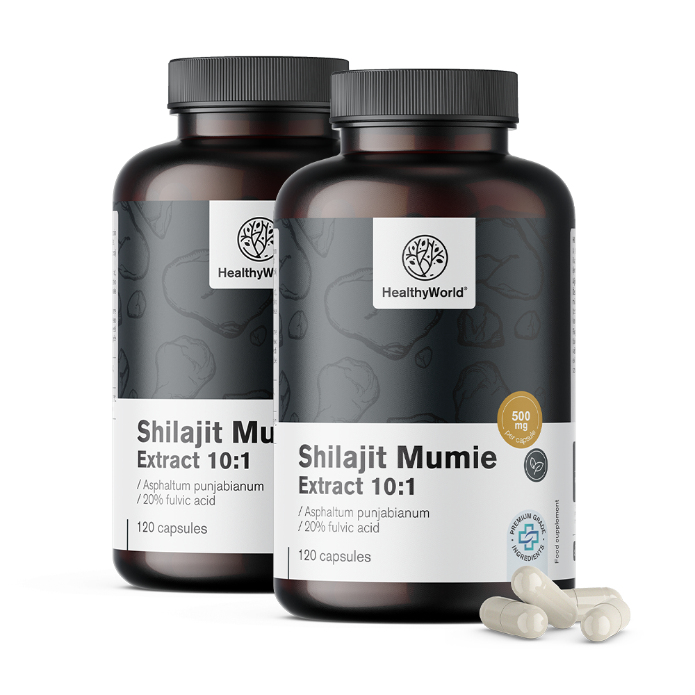 Shilajit Mumie 10:1 w kapsułkach