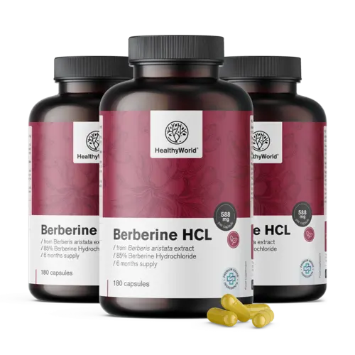 3x Berberyna HCL 500 mg, razem 540 kapsułek