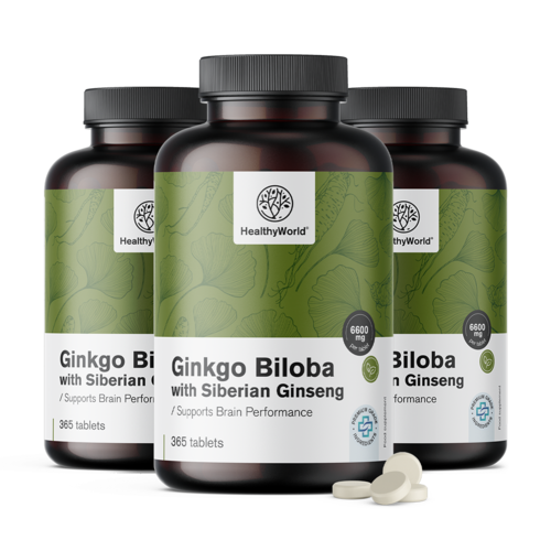 3x Ginkgo biloba z żeń-szeniem syberyjskim 6600 mg, razem 1095 tabletek