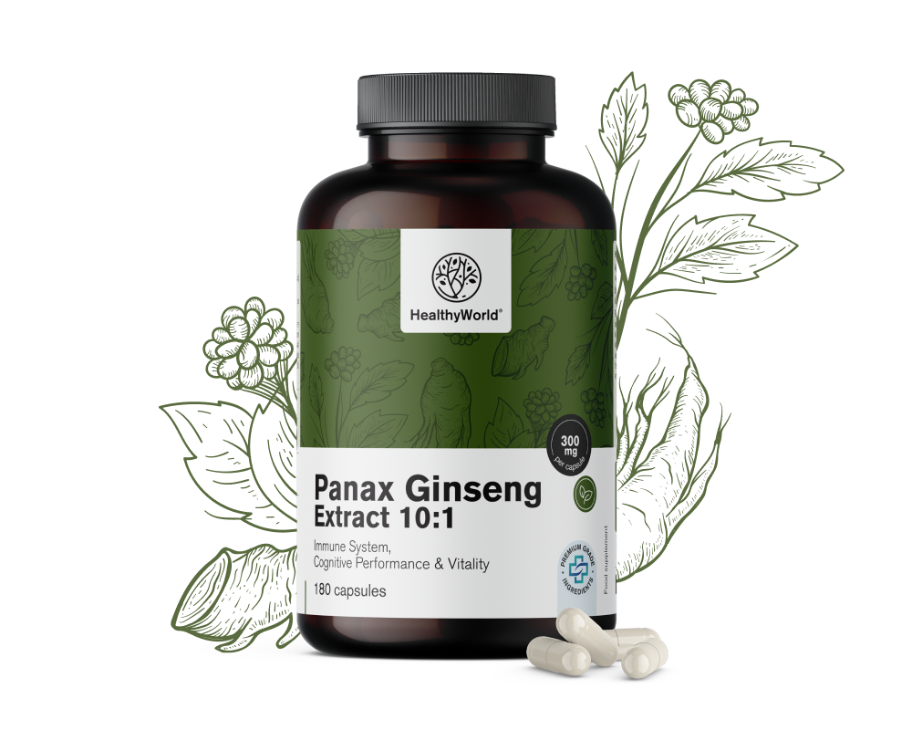 Panax Ginseng 300 mg – wyciąg z żeń-szenia 10:1