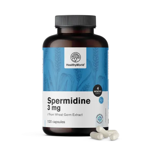 Spermidyna 3 mg – z ekstraktu z kiełków pszenicy, 120 kapsułek