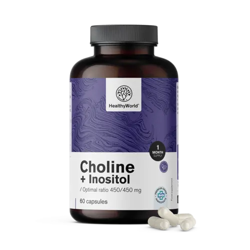 Cholina-inozytol 450/450 mg, 60 kapsułek