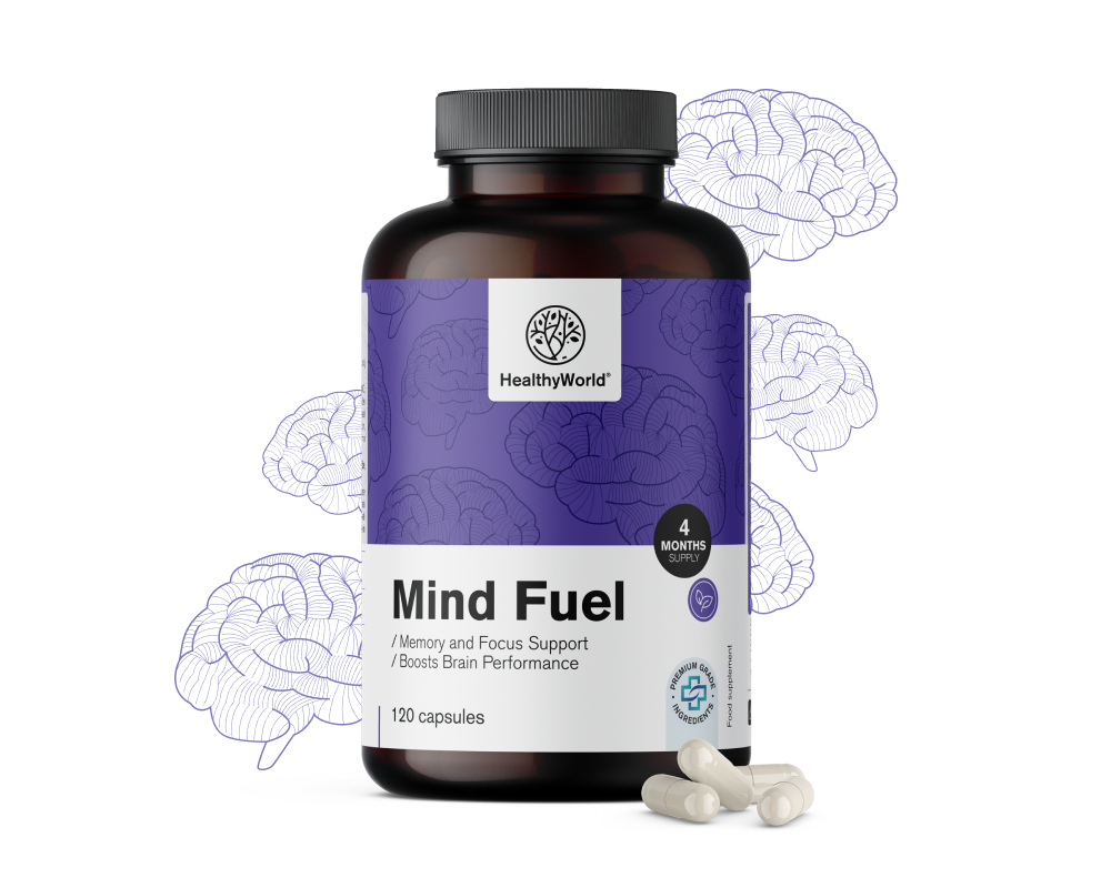 Mind Fuel - pamięć i koncentracja