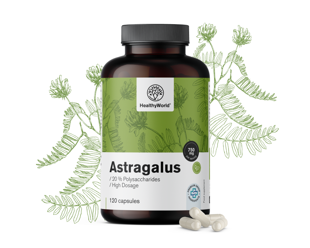 Astragalus – ekstrakt