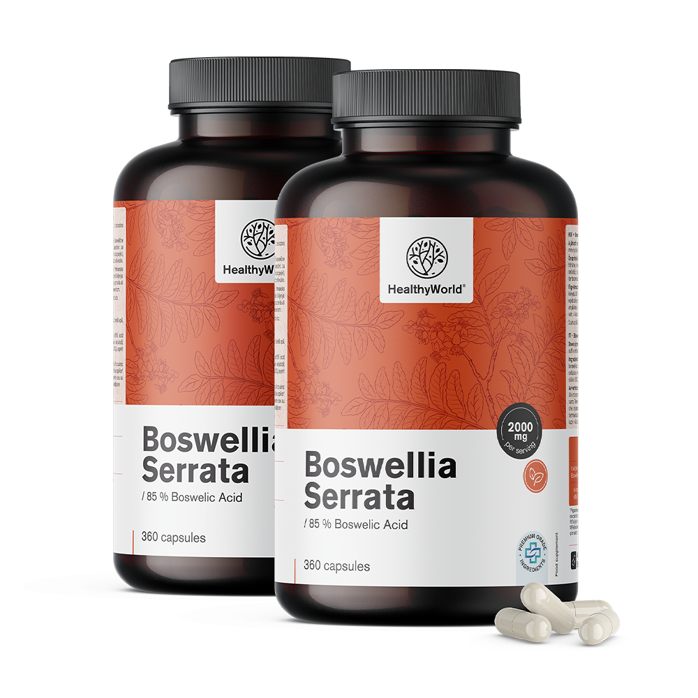Boswellia (Boswellia Serrata) – 85 % kwasu bosweliowego