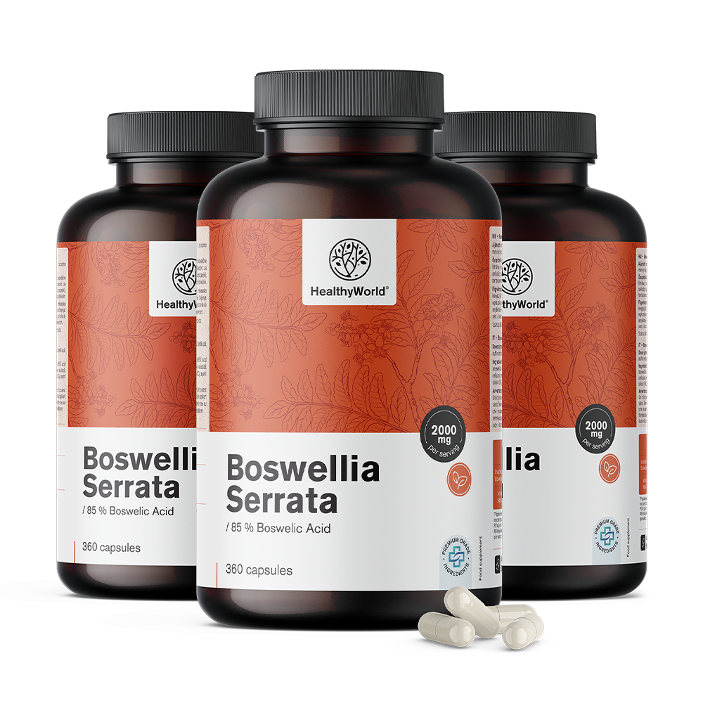 Boswellia (Boswellia Serrata) – 85 % kwasu bosweliowego