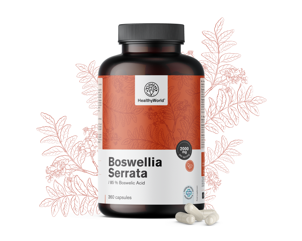 Boswellia (Boswellia Serrata) – 85% kwasu bosweliowego