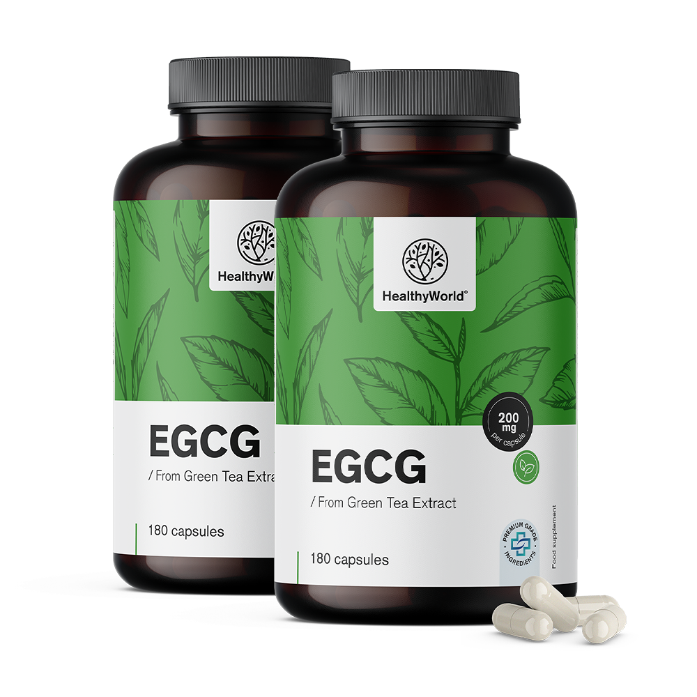 EGCG – z ekstraktu zielonej herbaty