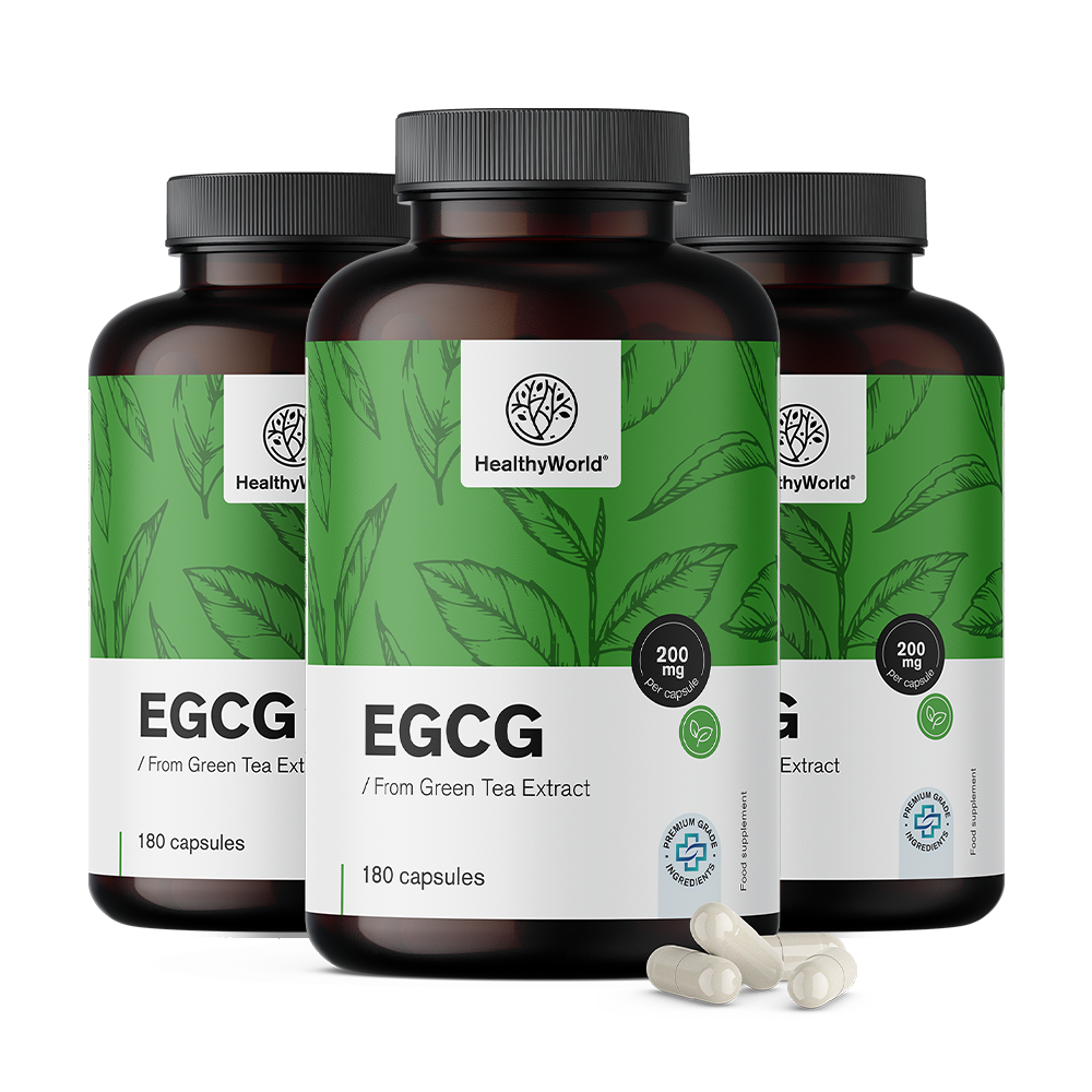 EGCG – z ekstraktu zielonej herbaty