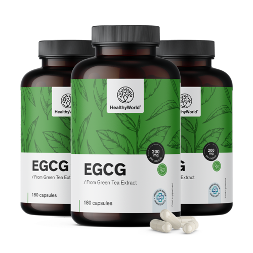3x EGCG – z ekstraktu zielonej herbaty, razem 540 kapsułek