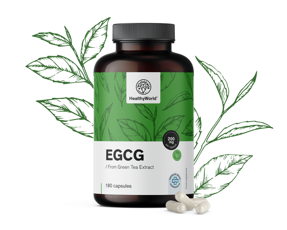 EGCG – z ekstraktu zielonej herbaty